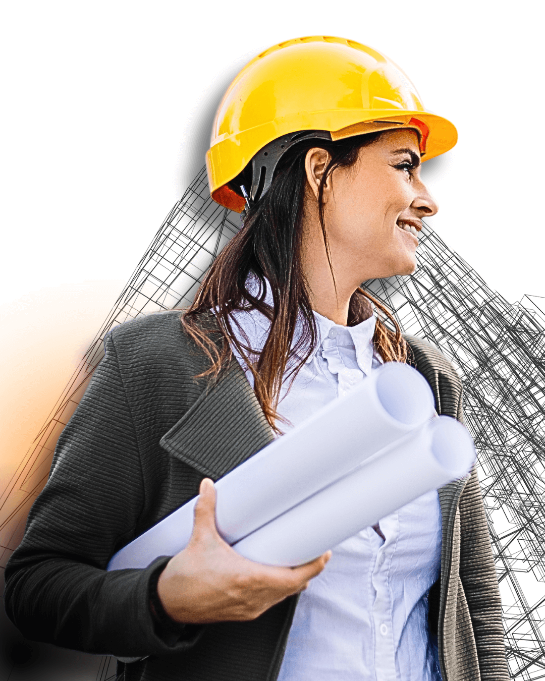 Imagem para quem é o curso de Advance Steel